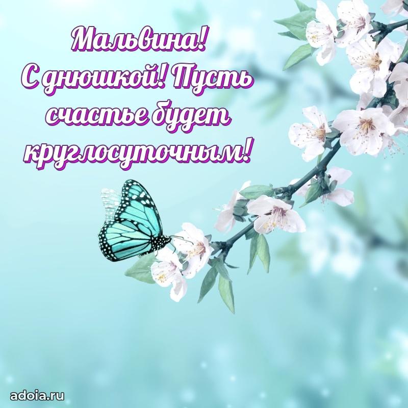 Открытка с пожеланиями Мальвине для ватсапа