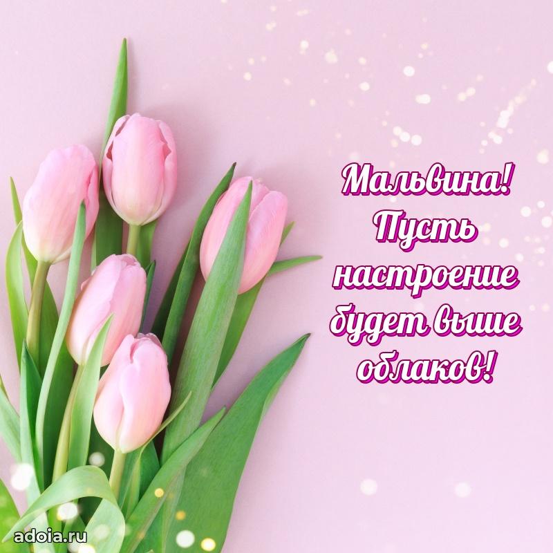 Смешная открытка для ватсап с днем рождения Мальвине