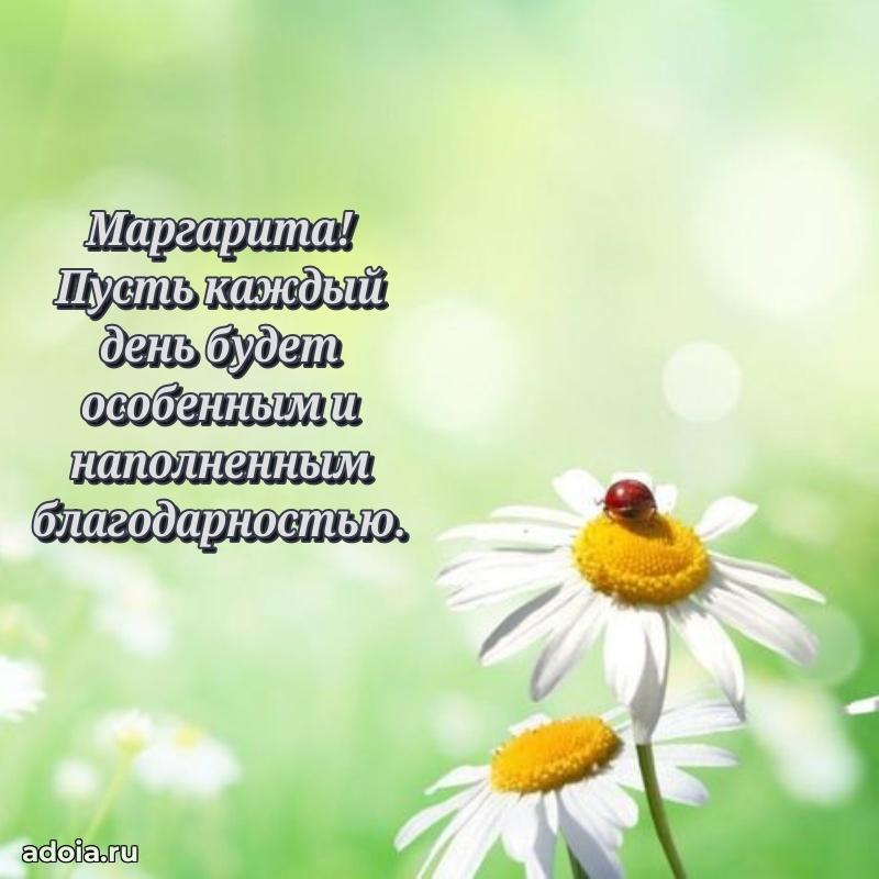 Открытка с пожеланиями Маргарите для ватсапа