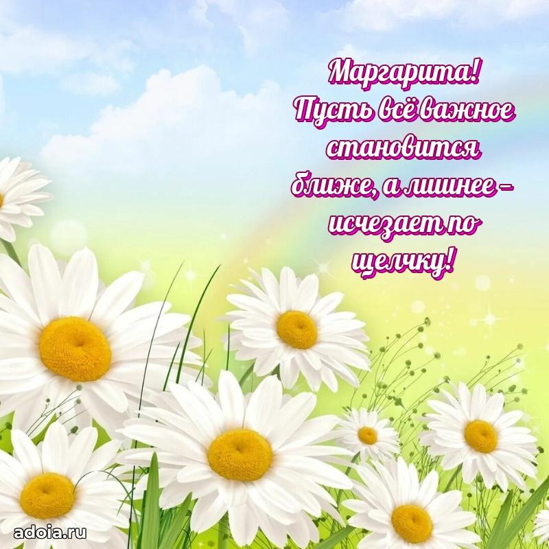 Смешная открытка для ватсап с днем рождения Маргарите