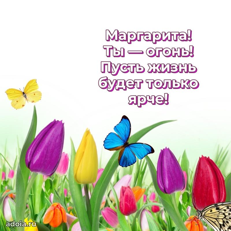 Открытка с пожеланиями Маргарите для ватсапа