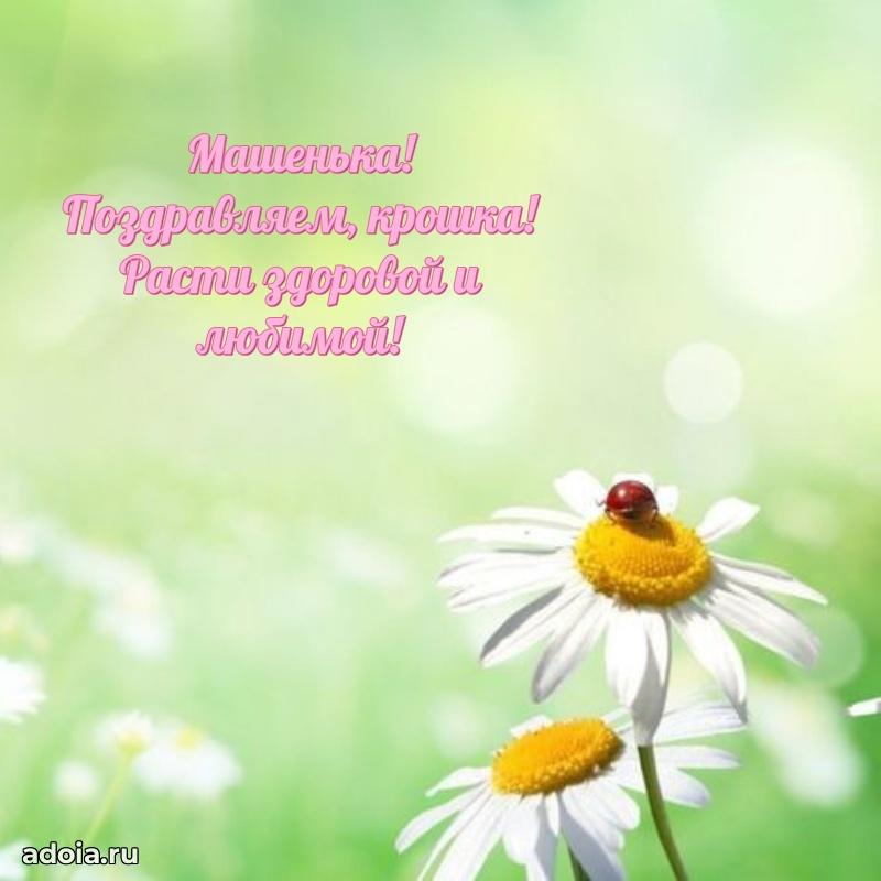Поздравить племянницу с др Марии