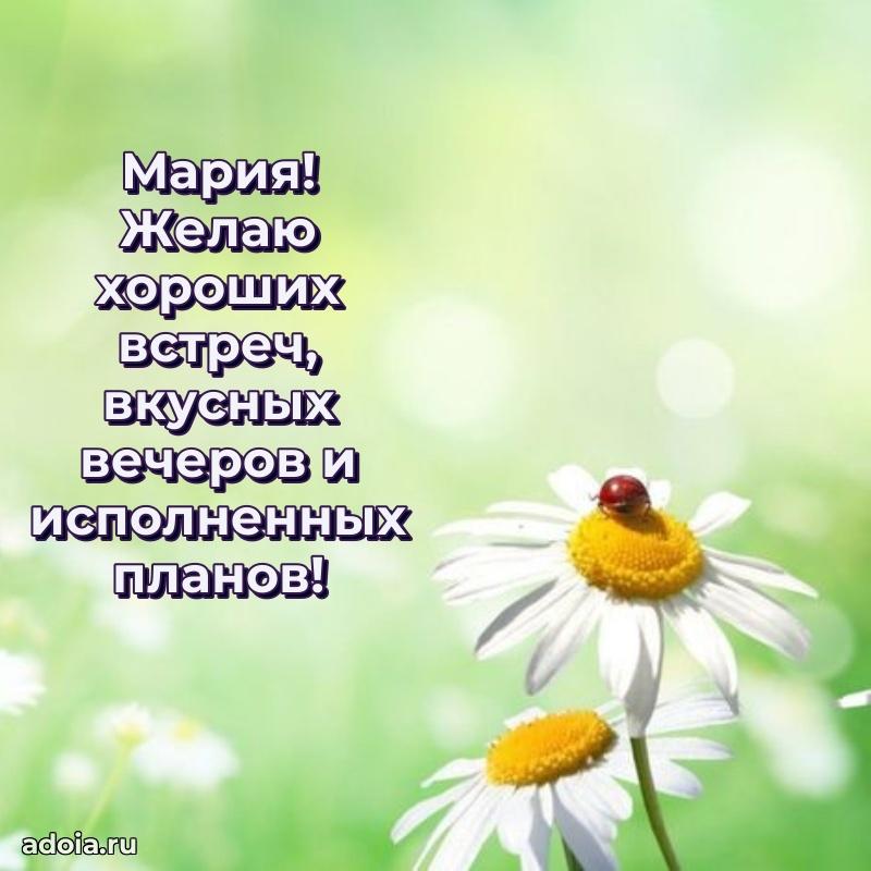 Новые открытки с днем рождения праздничные Марии