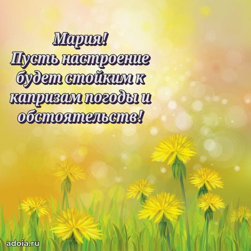 Новые открытки с днем рождения праздничные Марии