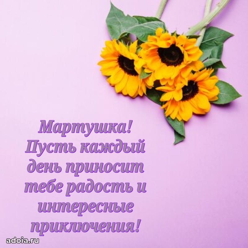 Поздравить племянницу с др Марте