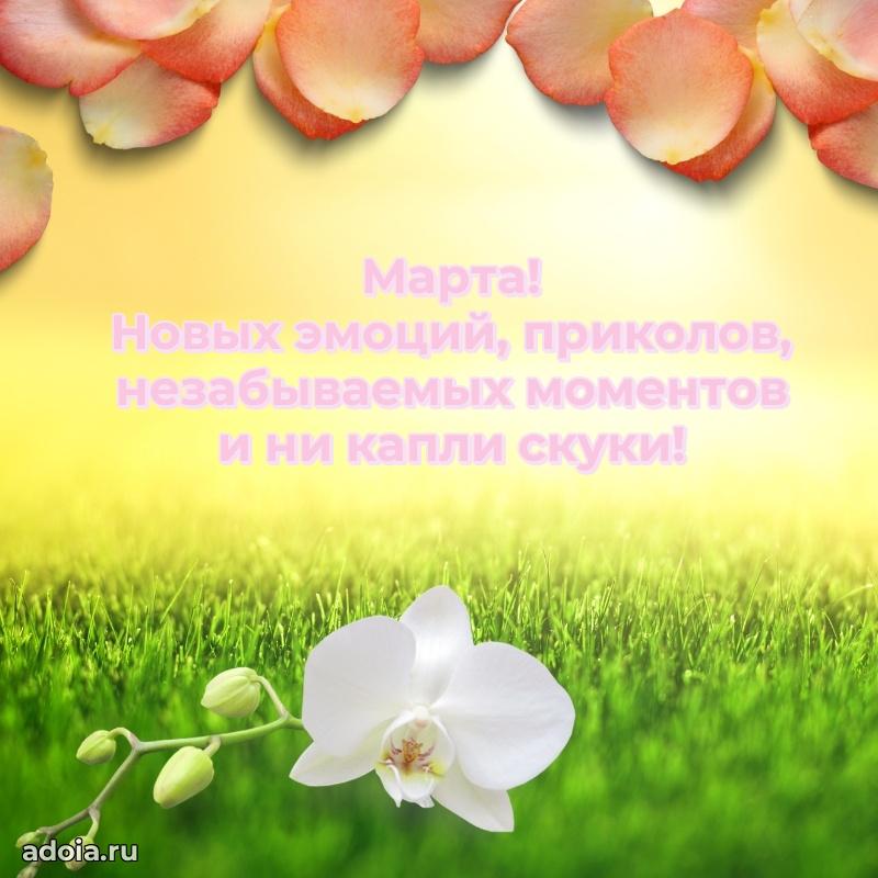 Открытка с пожеланиями Марте для ватсапа
