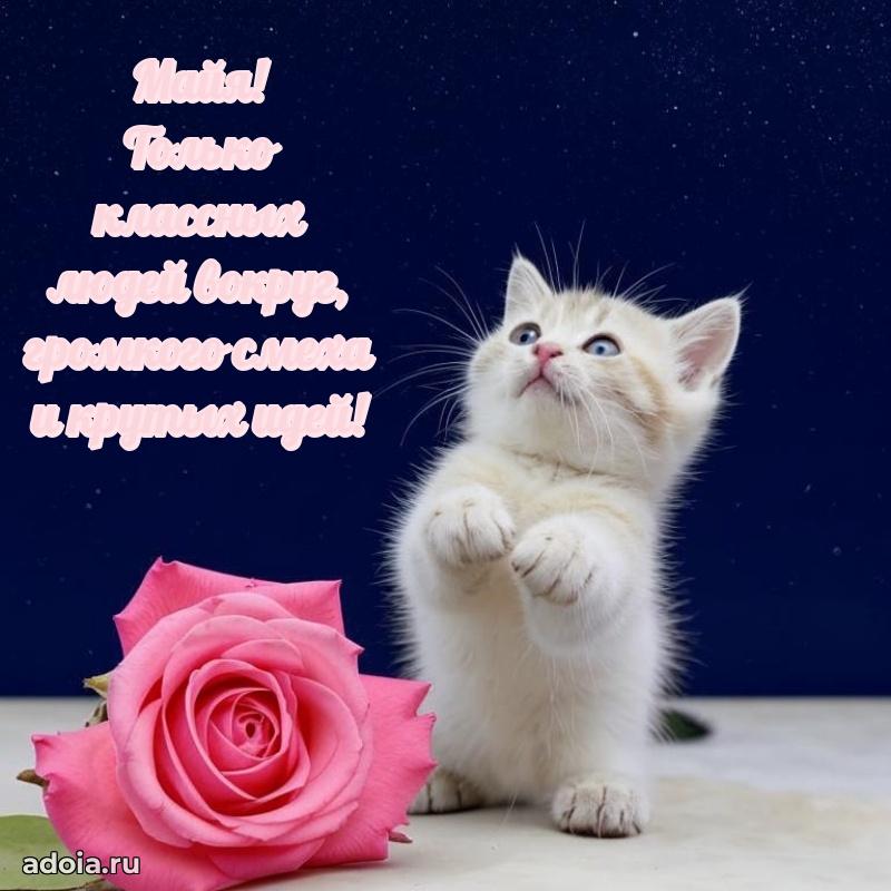 Поздравление Майе праздничные своими словами в прозе