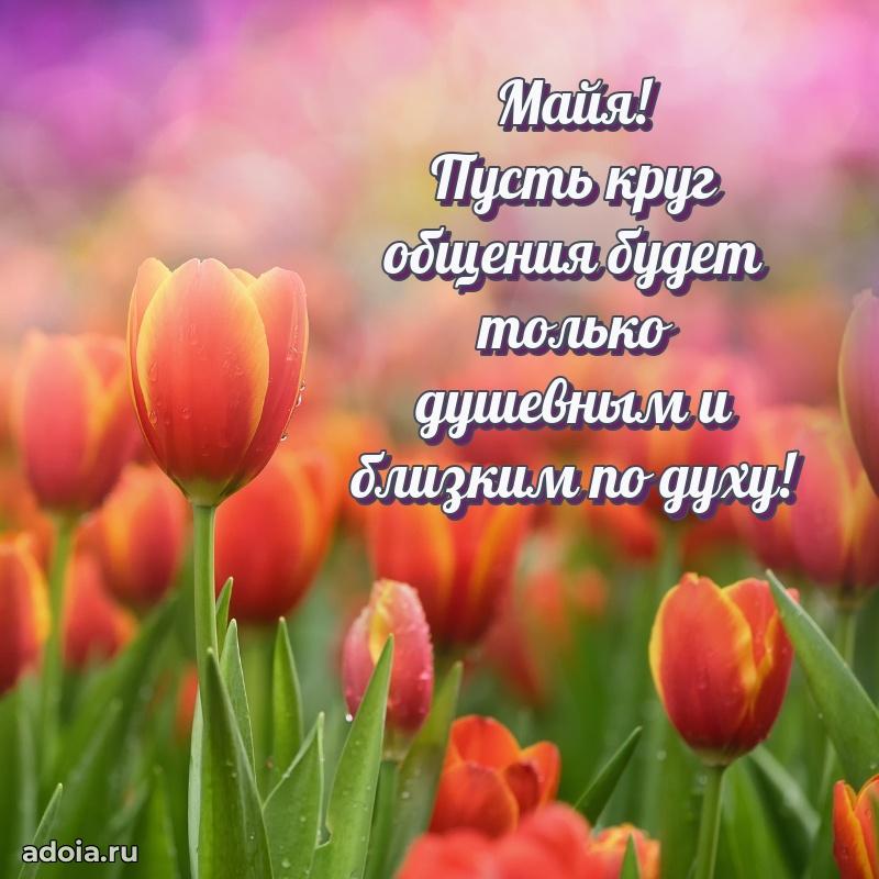 Картинка дочери Майе