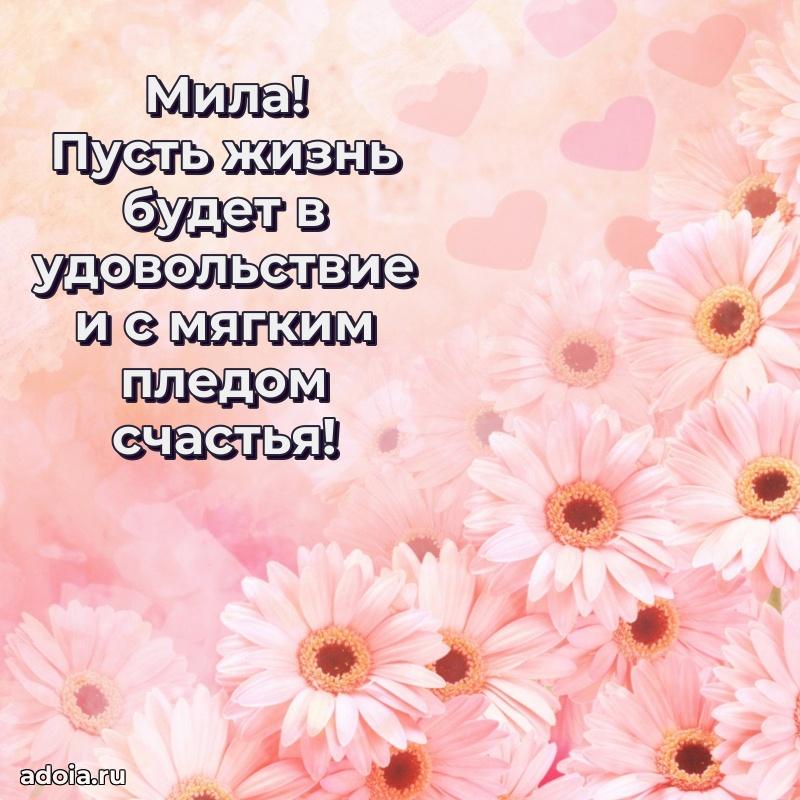 Картинка дочери Миле
