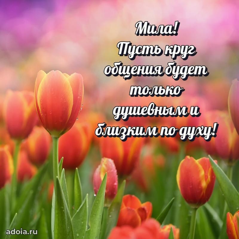 Яркая гифка Миле с днем рождения