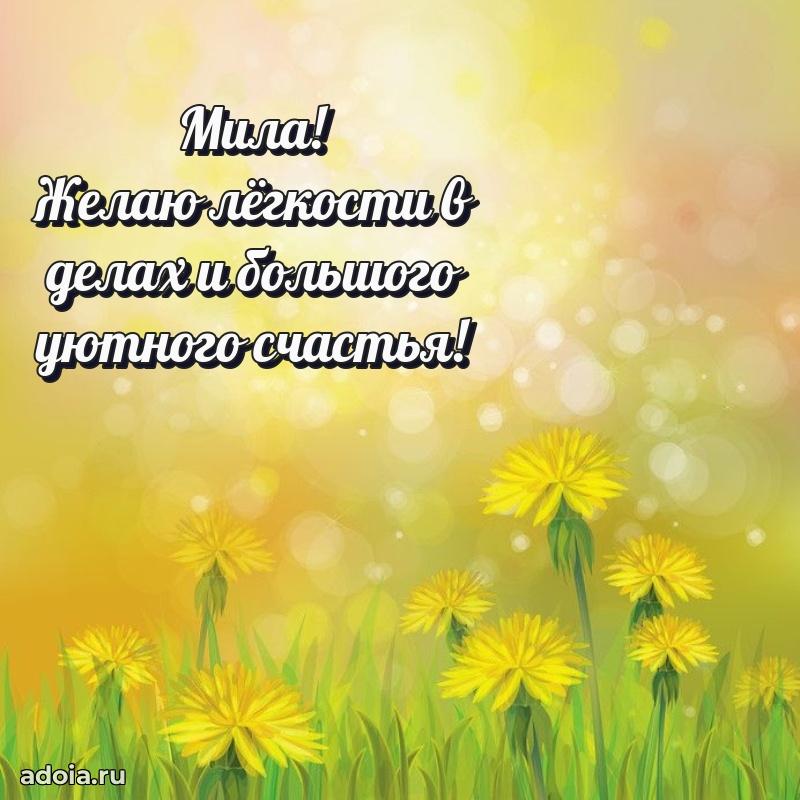 Открытка для ватсап с днем рождения Миле
