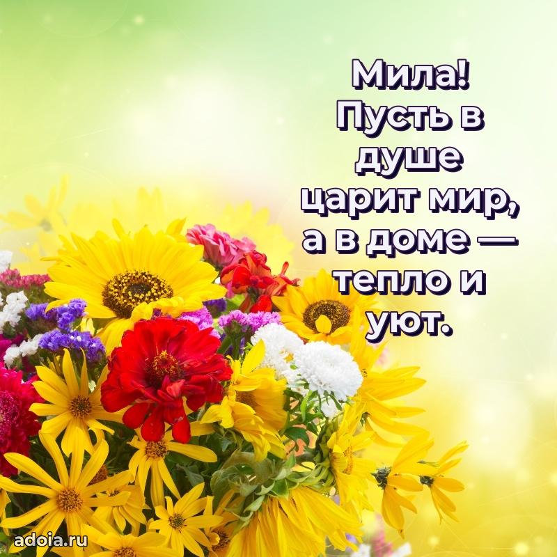 Поздравление Миле праздничные своими словами в прозе