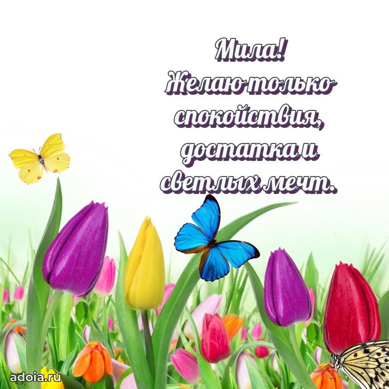 Картинка бабушке Миле