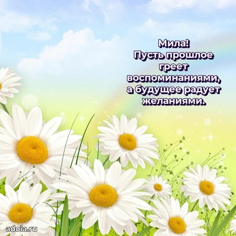 Пожелания маме Миле