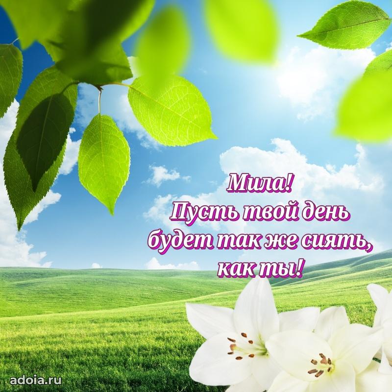 Новые открытки с днем рождения праздничные Миле