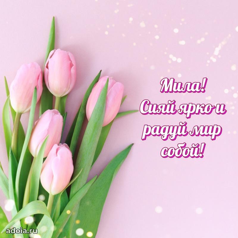 Открытка Миле праздничная