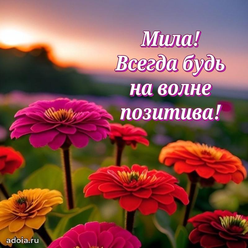 Поздравление с днем рождения сестре в стихах