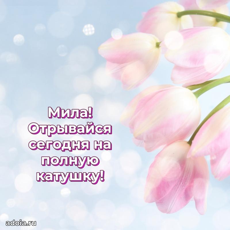 Яркая гифка Миле с днем рождения