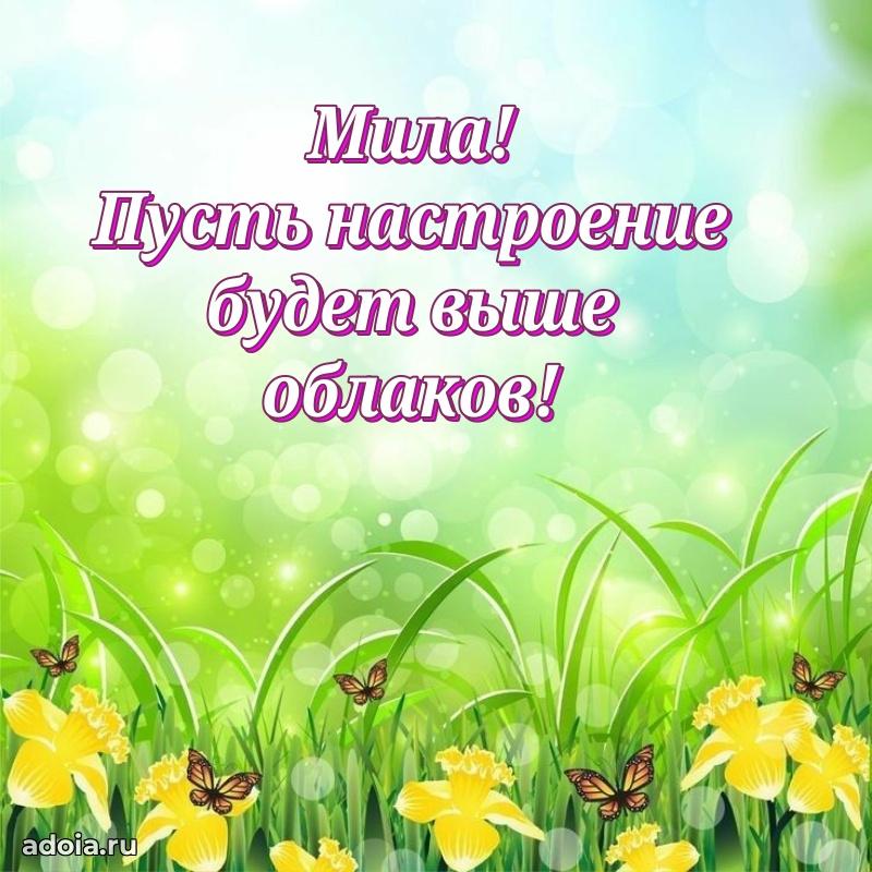 Мерцающая картинка Миле с днем рождения