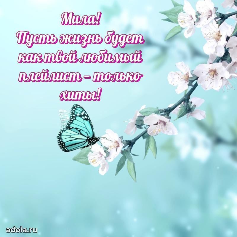 Смешная открытка для ватсап с днем рождения Миле