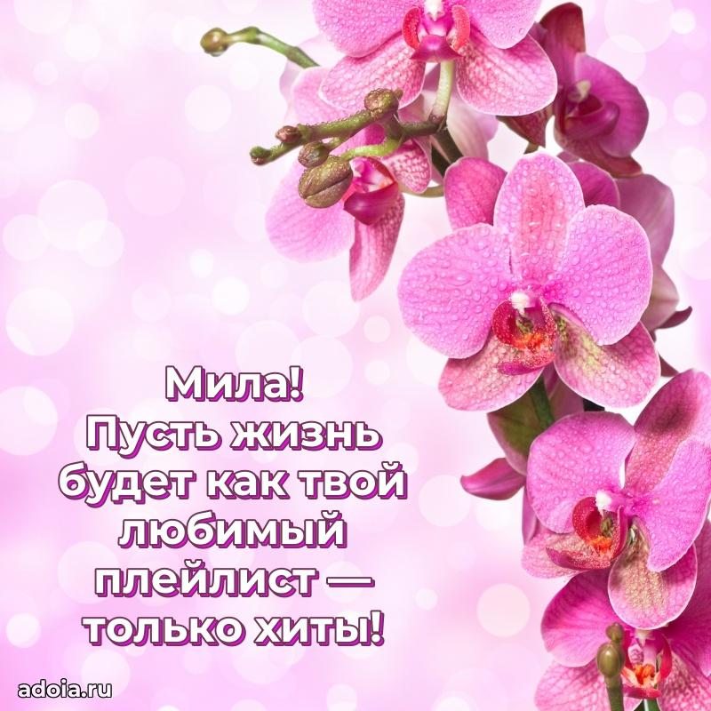 Поздравление с днем рождения девушке