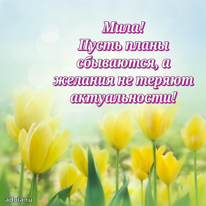 Мерцающая картинка Миле с днем рождения