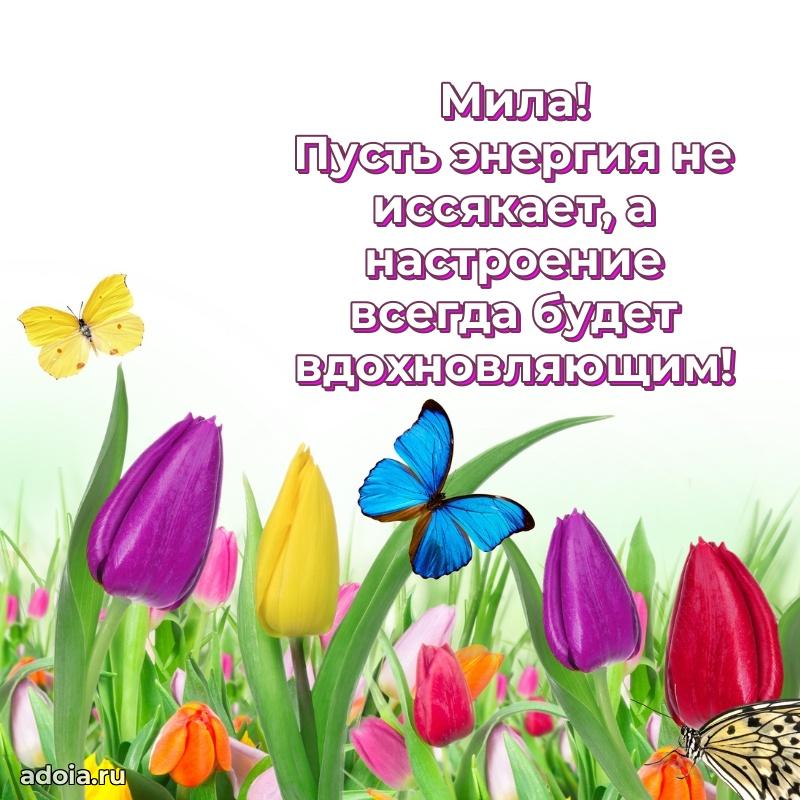 Поздравление с днем рождения сестре в стихах