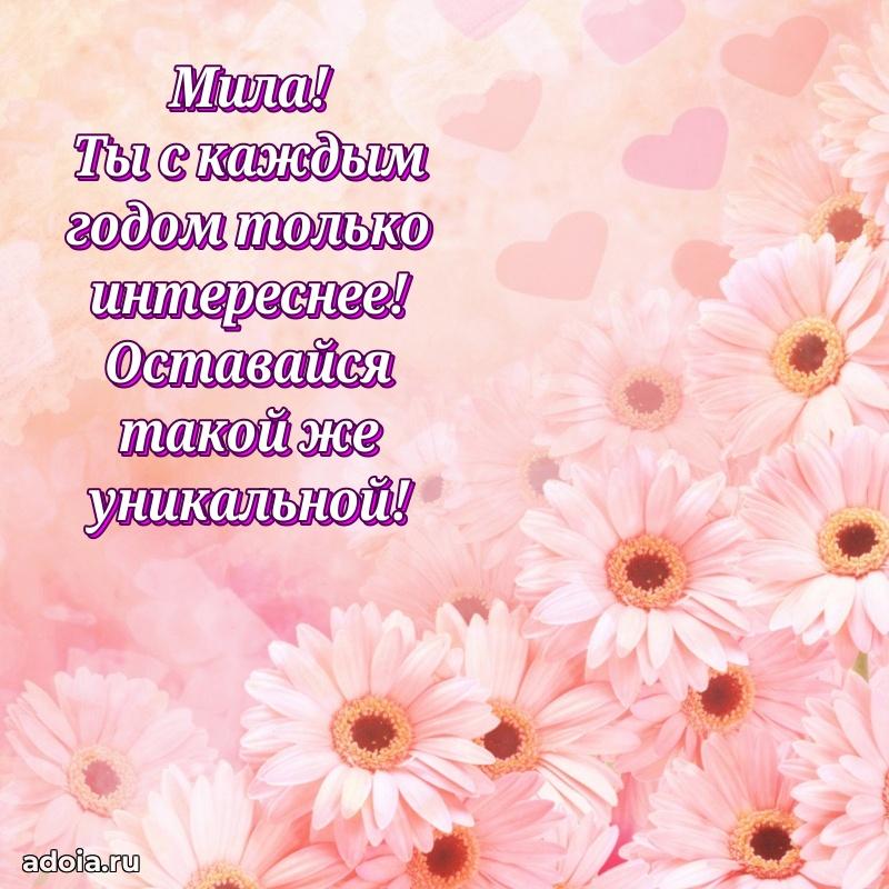 Картинка дочери Миле