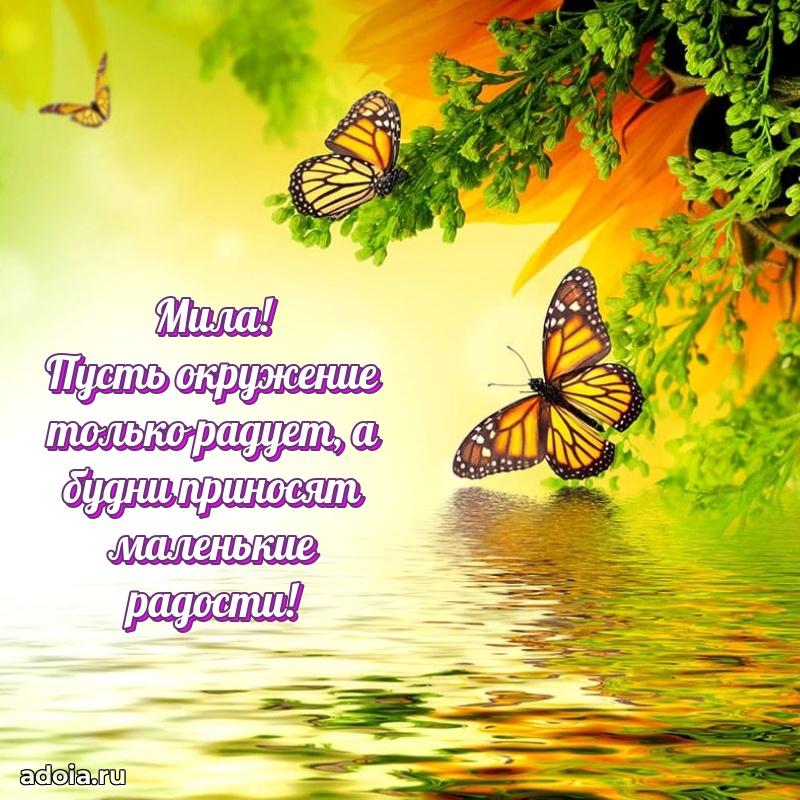 Мерцающая картинка Миле с днем рождения