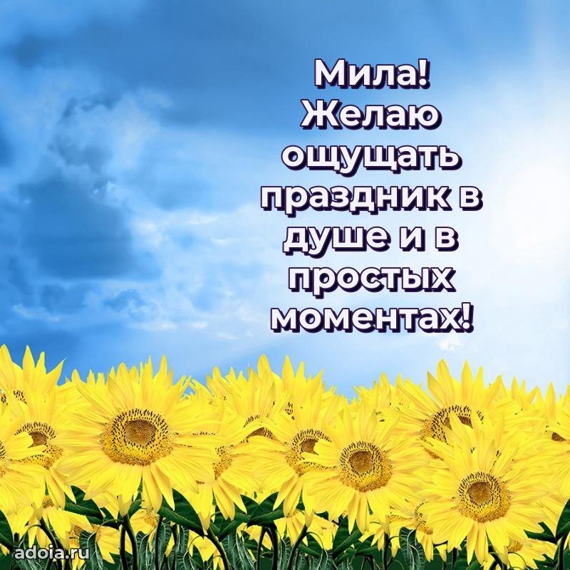 Яркая гифка Миле с днем рождения