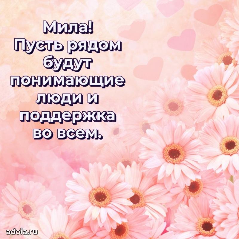 Картинка дочери Миле