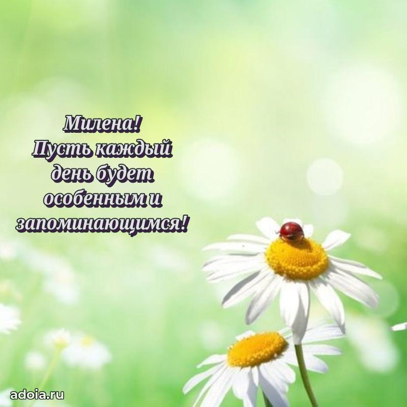 Пожелания маме Милене