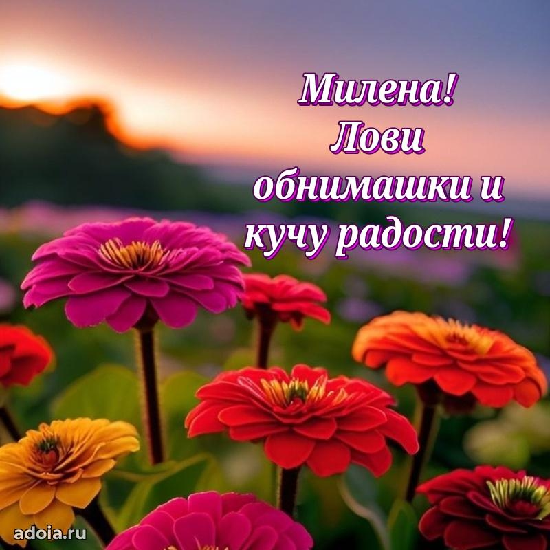 Открытка с пожеланиями Милене для ватсапа