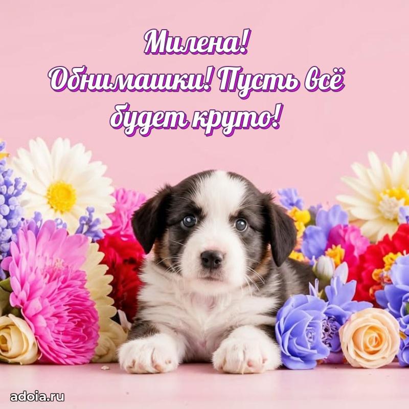 Поздравление с днем рождения сестре в стихах