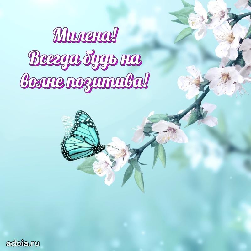 Поздравить подругу с др Милене