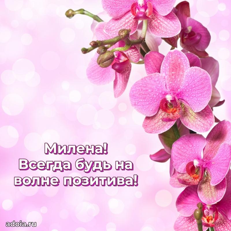 Картинка дочери Милене