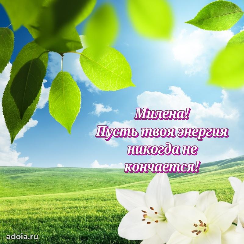 Открытка Милене праздничная