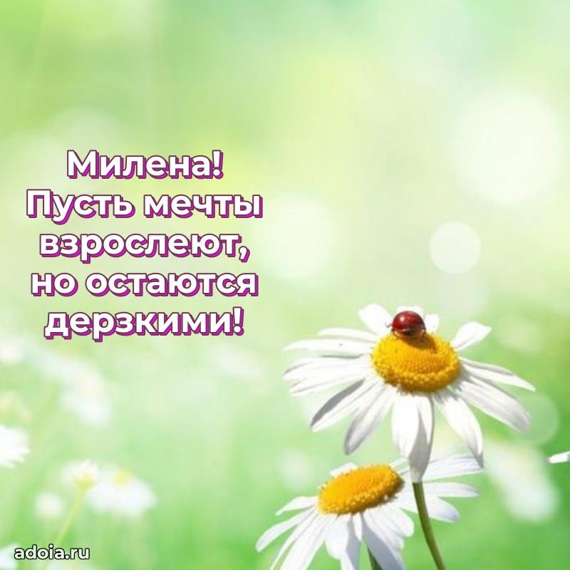 Поздравление с днем рождения девушке