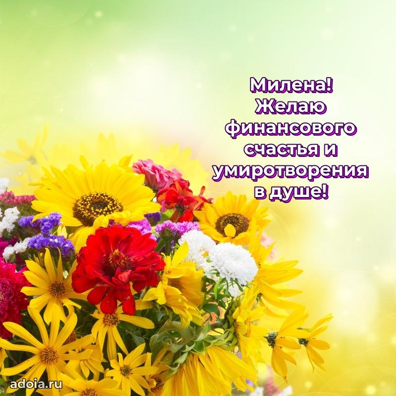Поздравление Милене праздничные своими словами в прозе