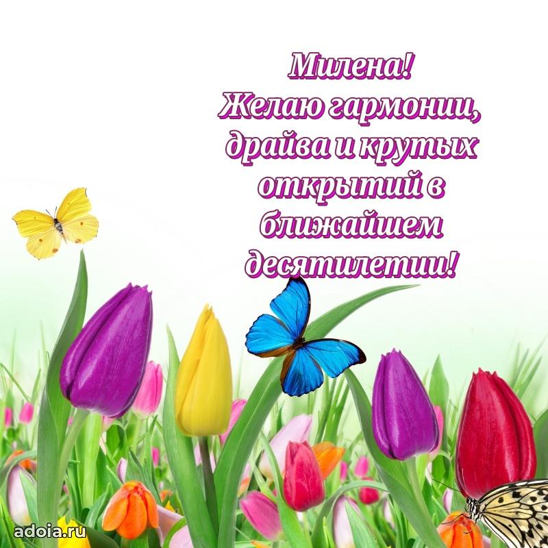 Поздравление Милене праздничные своими словами в прозе