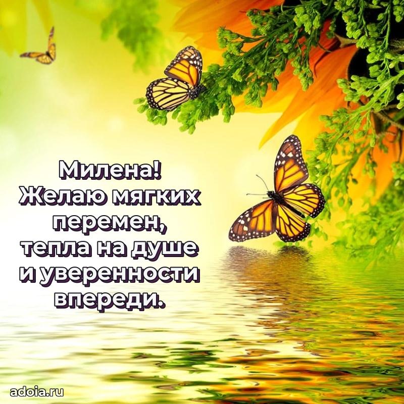 Поздравление Милене праздничные своими словами в прозе
