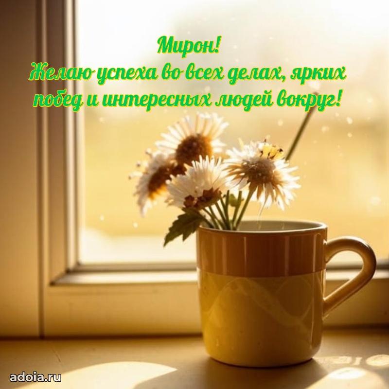 Мерцающая картинка Мирону с днем рождения