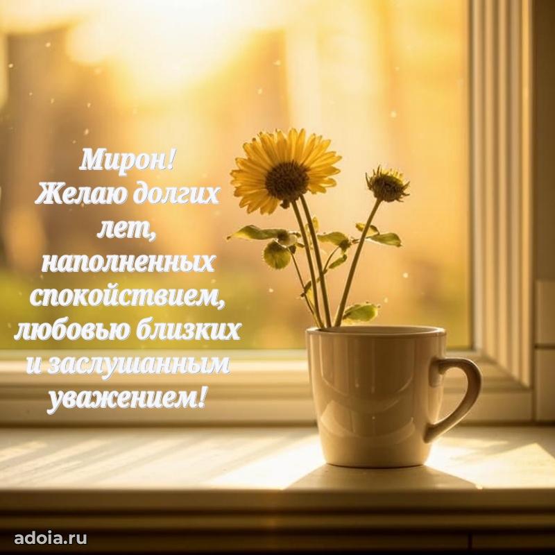 Поздравление мужчине Мирону