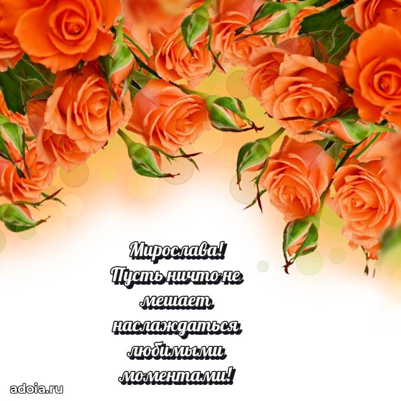 Поздравление Мирославе праздничные своими словами в прозе