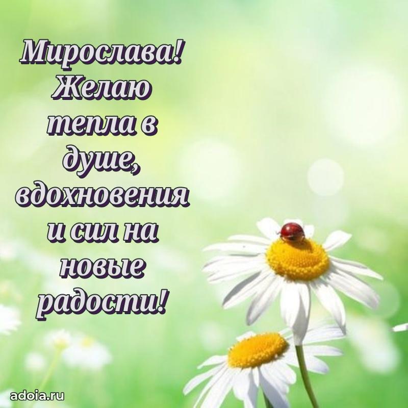 Поздравление Мирославе праздничные своими словами в прозе
