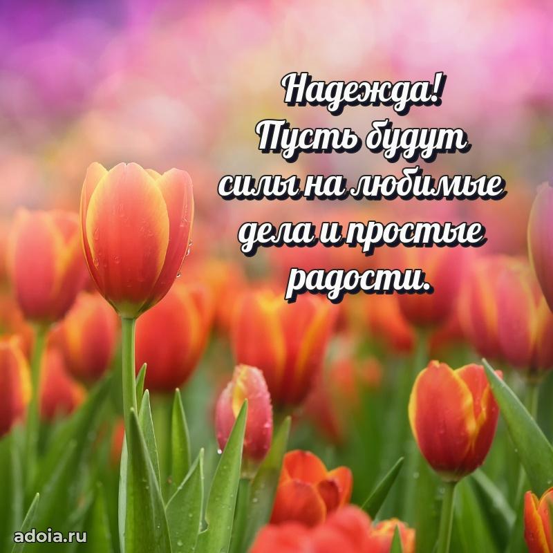 Картинка бабушке Надежде