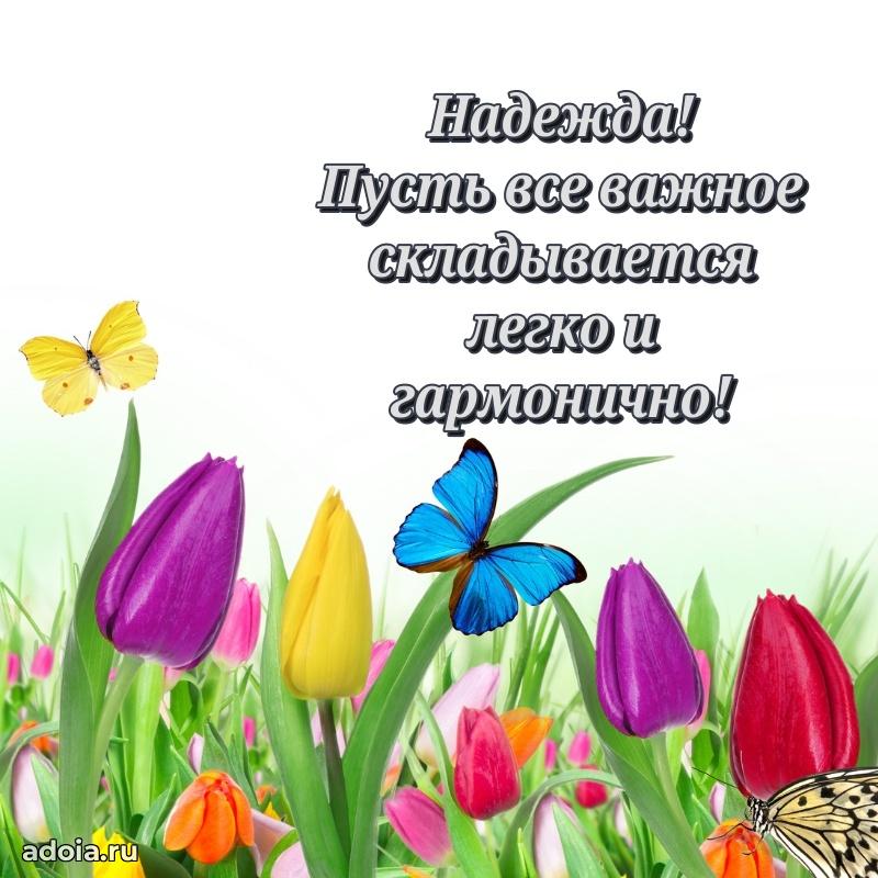 Яркая гифка Надежде с днем рождения