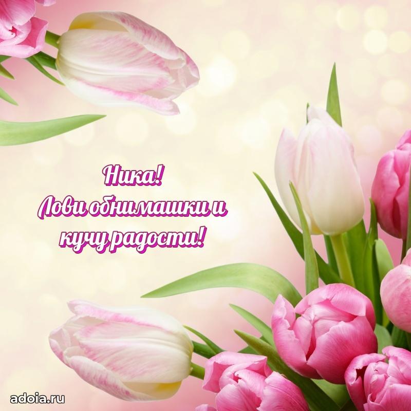 Поздравить подругу с др Нике