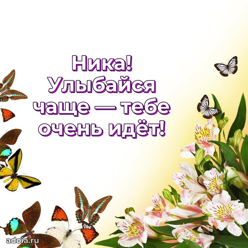 Смешная открытка для ватсап с днем рождения Нике