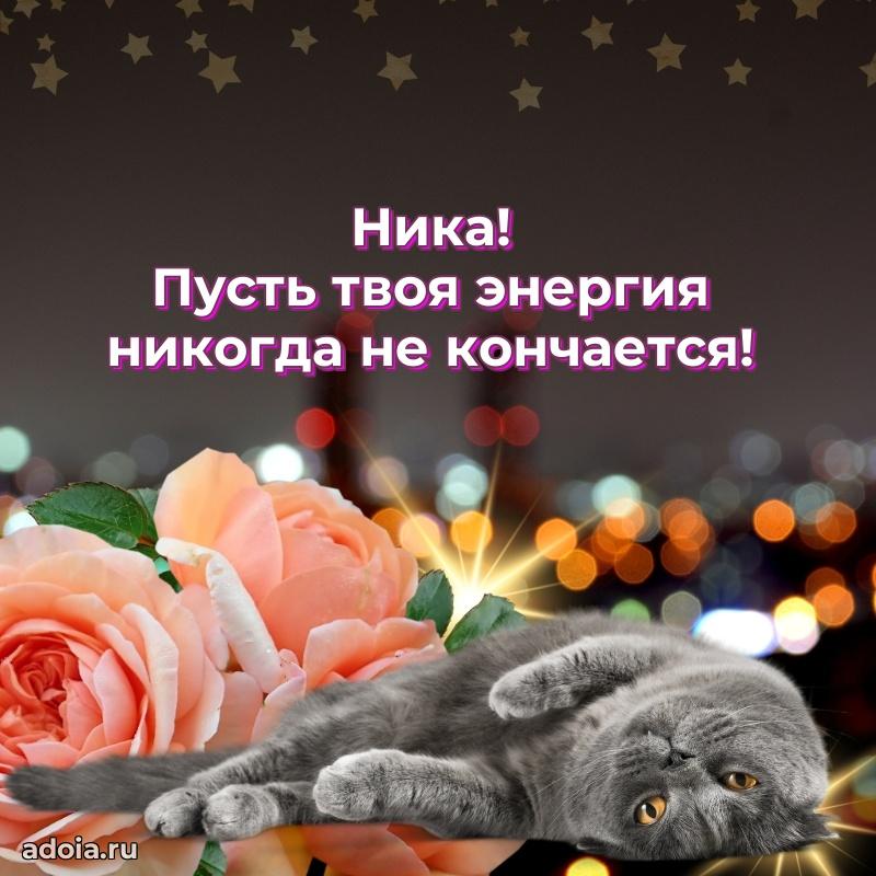 Поздравление Нике праздничные своими словами в прозе